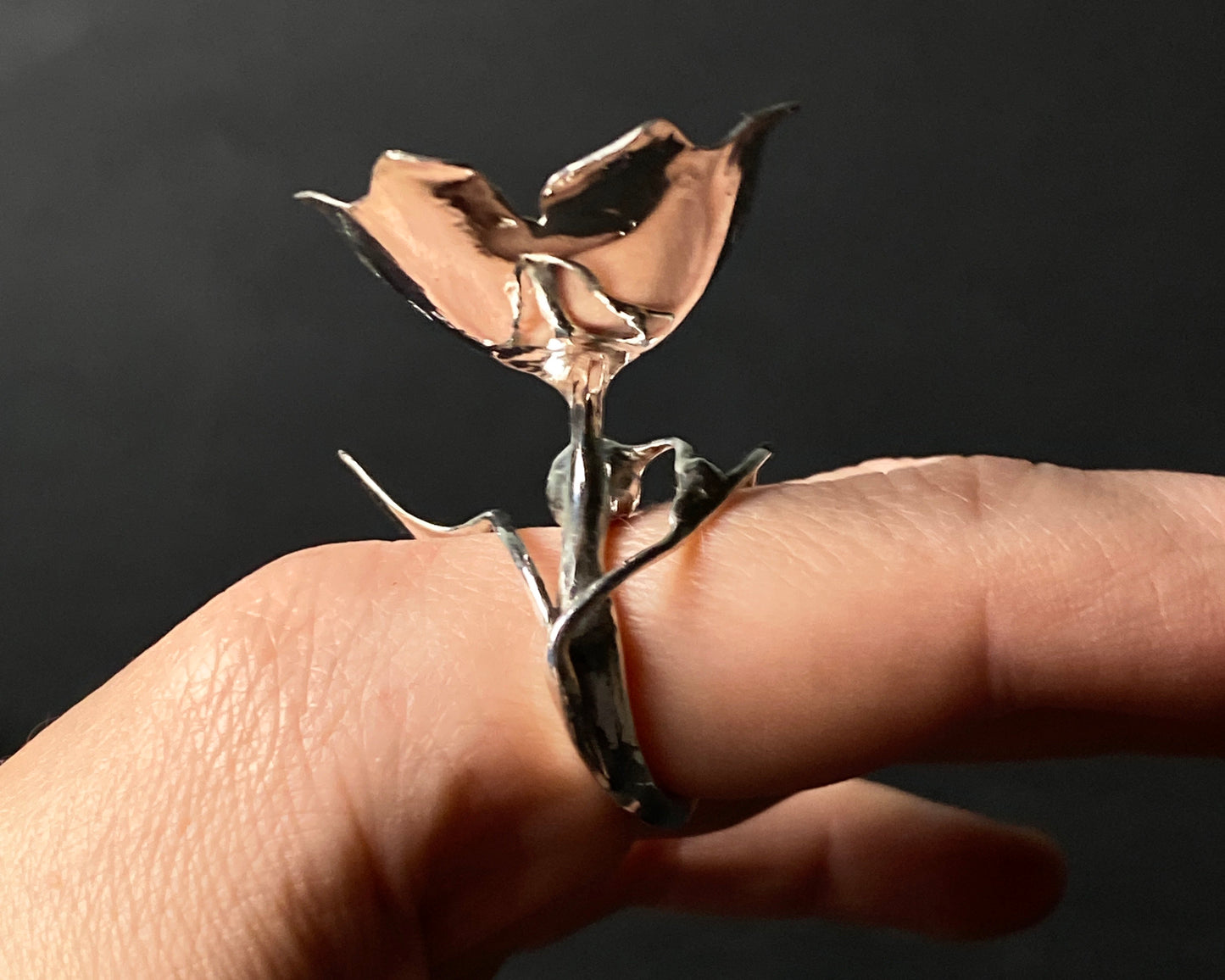 Amorphous Ginkgo Ring with Garnets