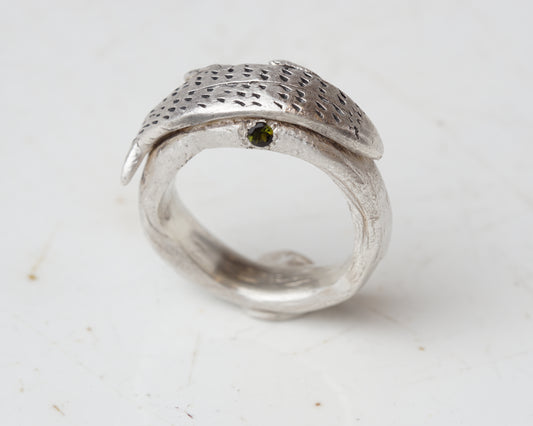 Fish spirit rings